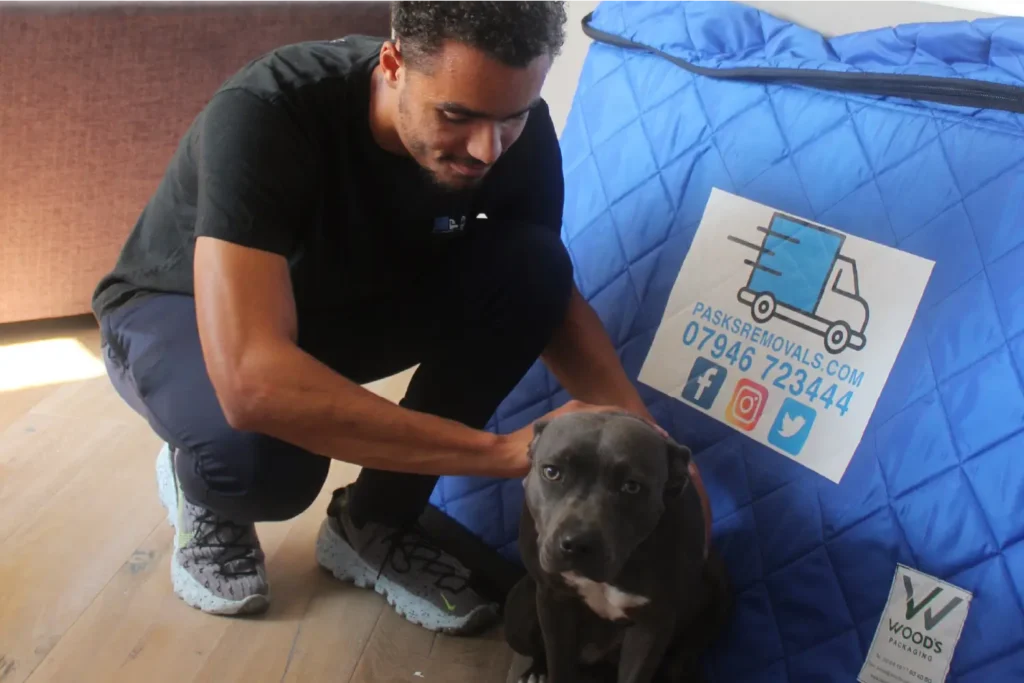Pasks Removals London - Guide to moving with pets